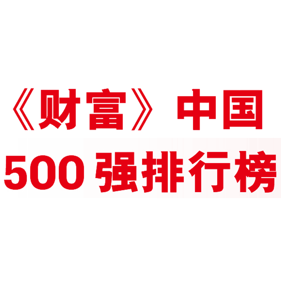 Fortune 500 China